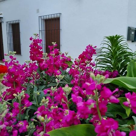 Casa Francisca En El Casco Antiguo Villa Vejer de la Frontera Dış mekan fotoğraf